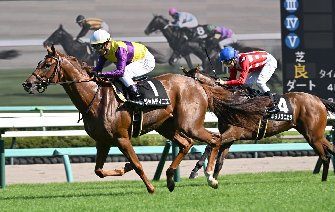 アスター賞を制したジャルディニエと戸崎騎手（左）。右は2着のキタノクニカラ（撮影・千葉一成）