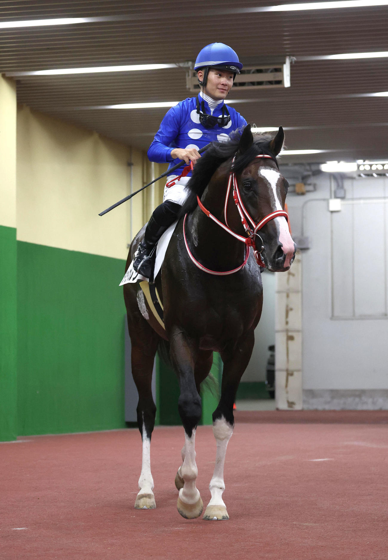 中京5R、新馬戦を制したタイセイカレント（撮影・白石智彦）