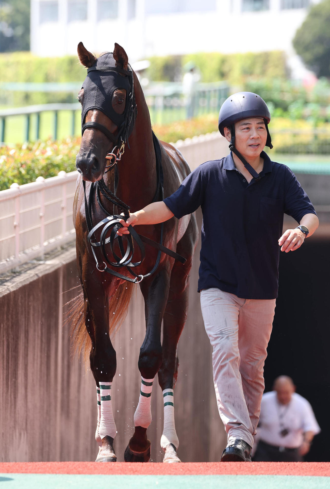 中京4R、新馬戦を制したトリポリタニア（撮影・白石智彦）