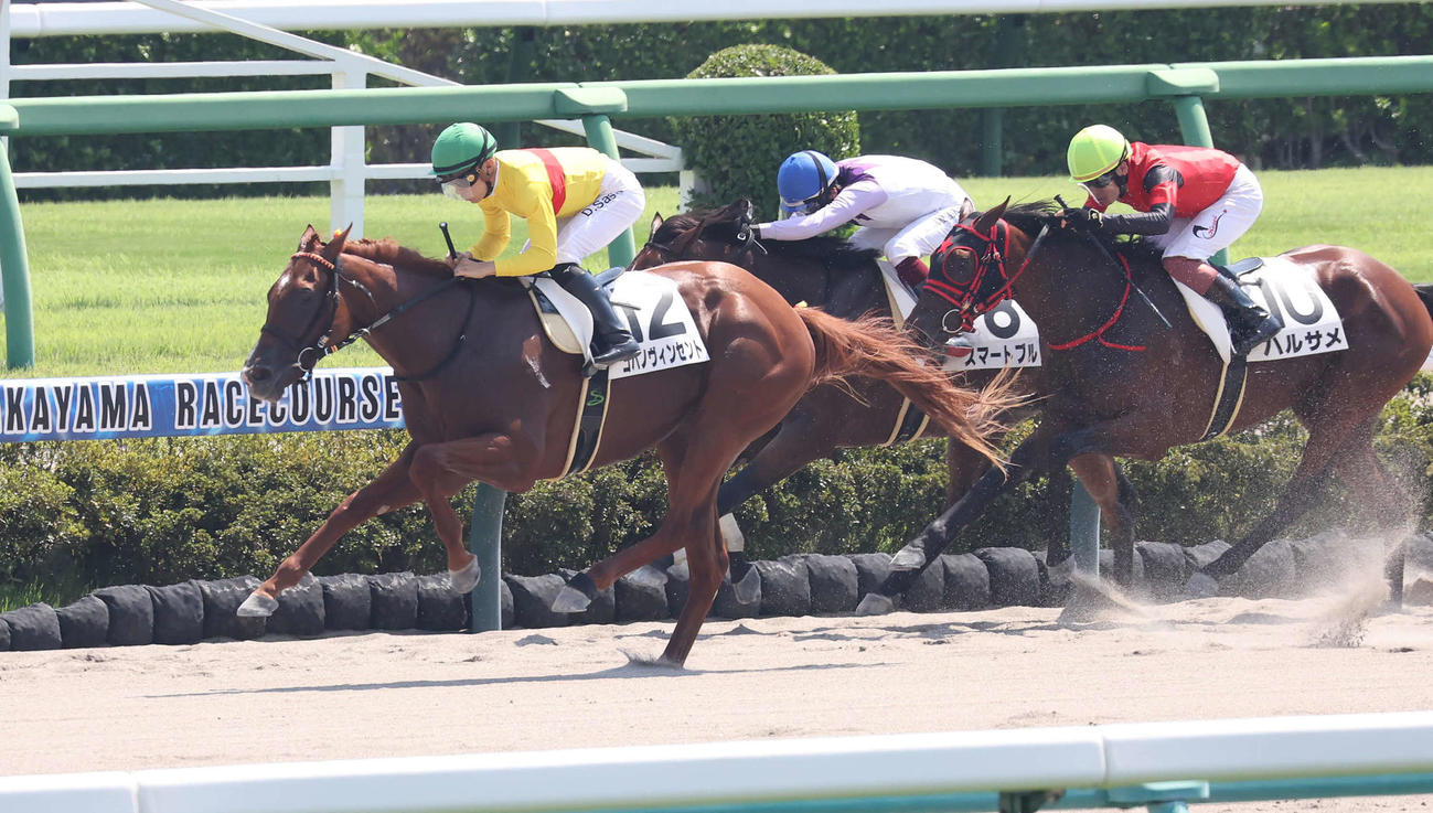 中山4R、新馬戦を制したコパノヴィンセントと佐々木騎手（左）（撮影・丹羽敏通）