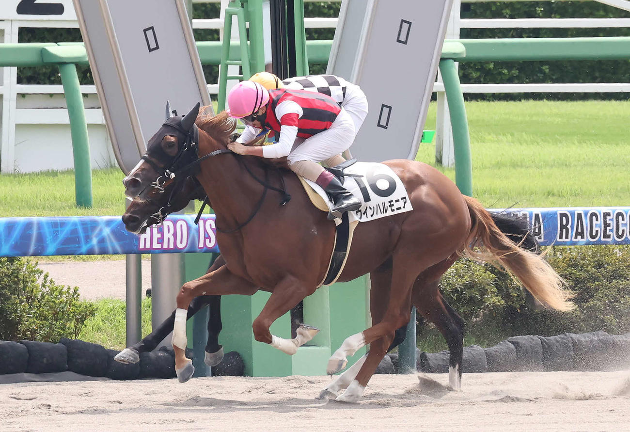 中山3R、2歳新馬戦を制したウインハルモニアと黛騎手（手前）（撮影・丹羽敏通）