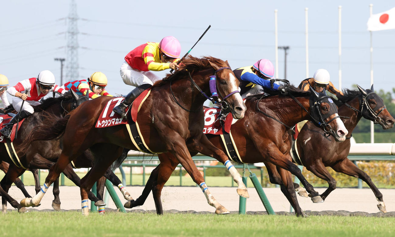 直線外から伸びてセントウルSを制したトウシンマカオ（撮影・白石智彦）