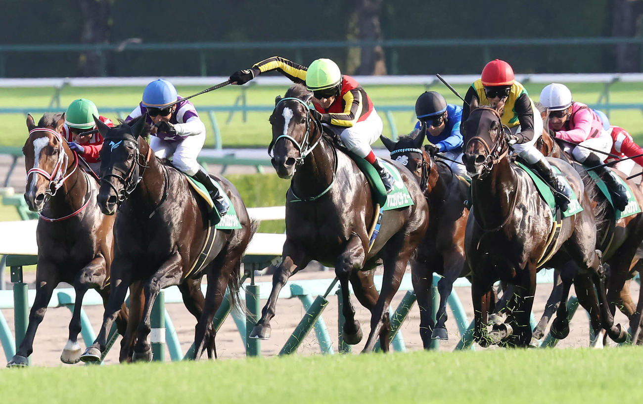 直線力強く伸びて京成杯AHを制したアスコリピチェーノとルメール騎手（中央）（撮影・丹羽敏通）