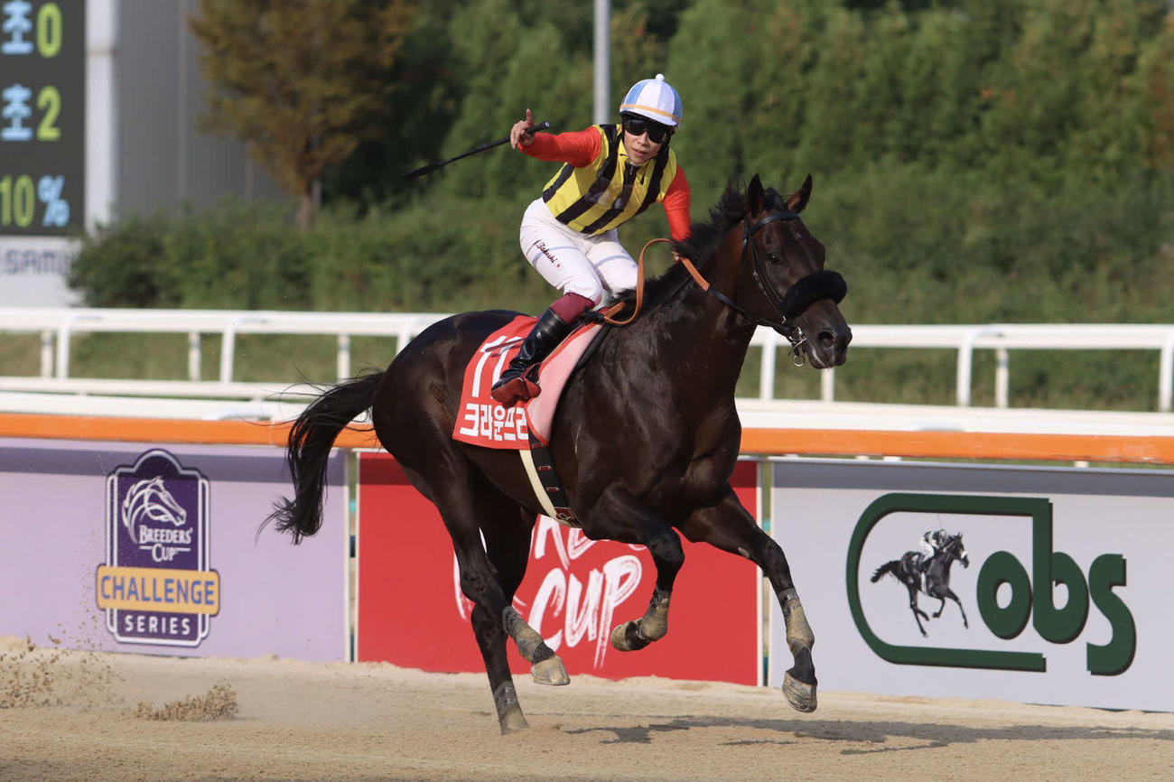 5馬身差の逃げ切りでコリアCを連覇したクラウンプライドと横山武騎手（撮影・牛山基康）