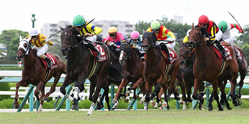 日本レコードでローズSを快勝したマスクトディーヴァ（左から2頭目）（撮影・白石智彦）＝2023年9月17日、阪神競馬場
