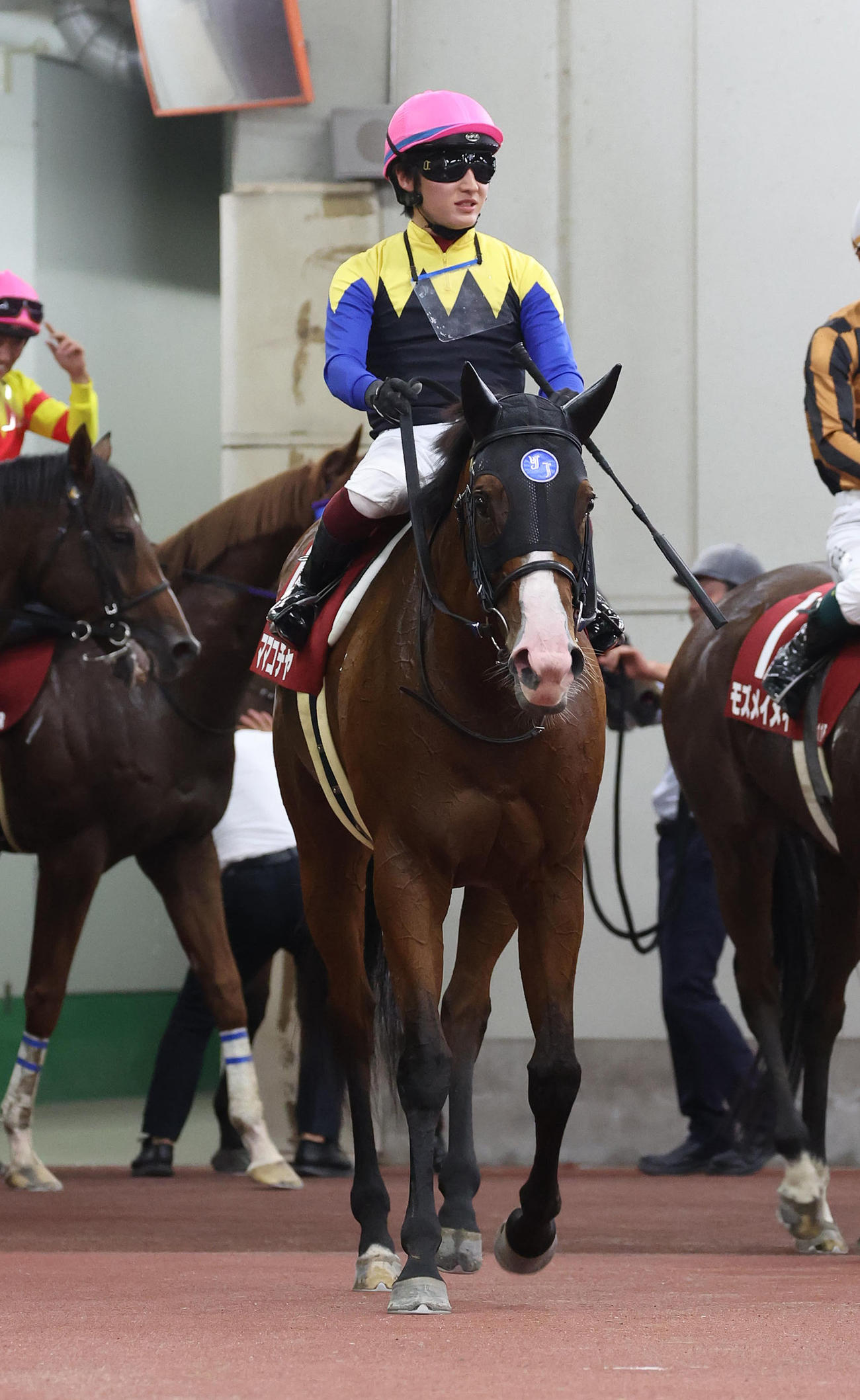 中京11RセントウルS、2着に敗れたママコチャ（撮影・白石智彦）