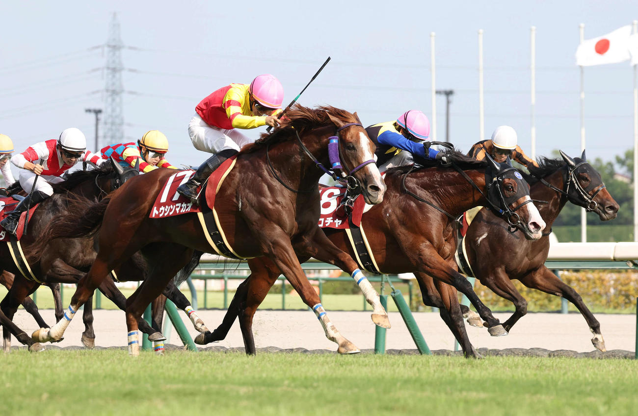 直線外から伸びてセントウルSを制したトウシンマカオ（左）。右から3着モズメイメイ、2着ママコチャ（撮影・白石智彦）