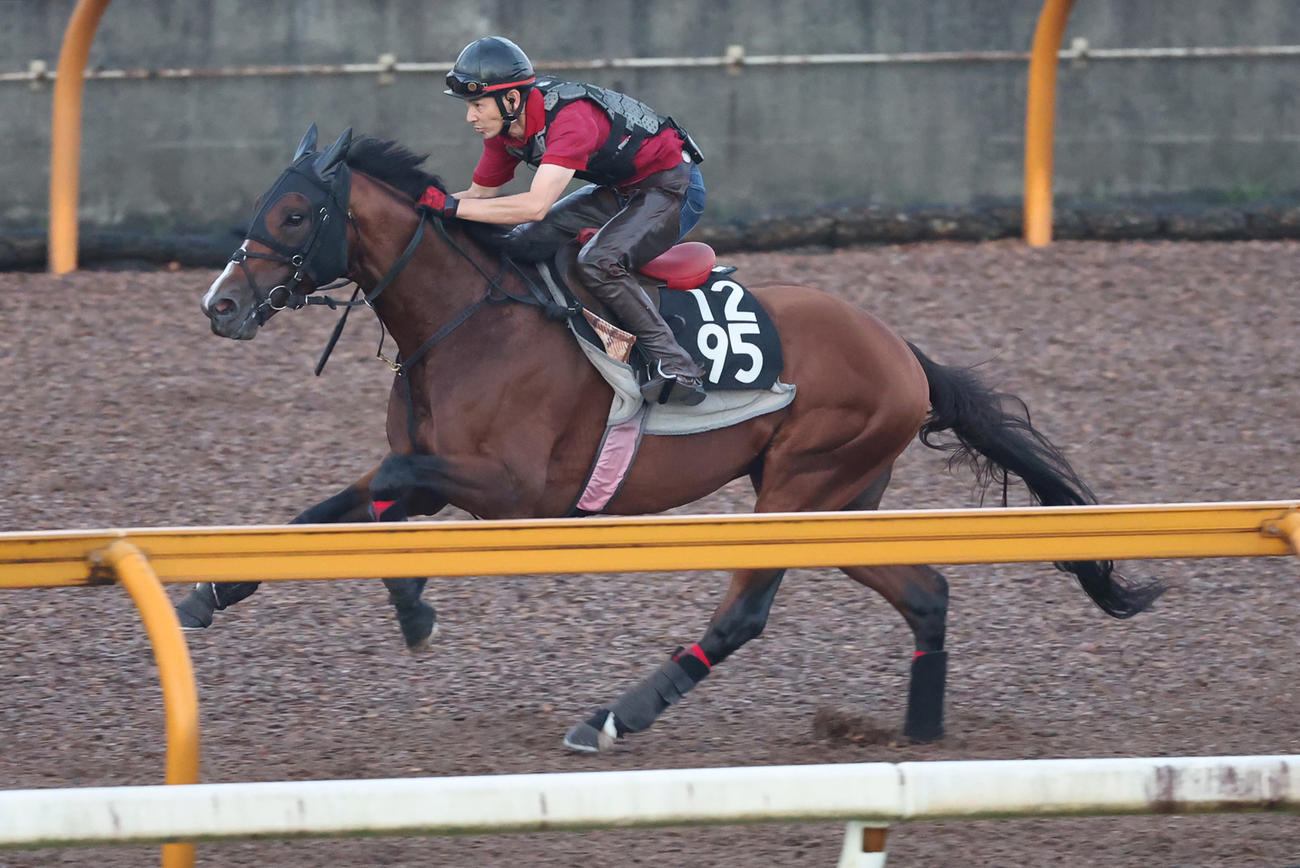 4日、Cウッドで追い切るログラール