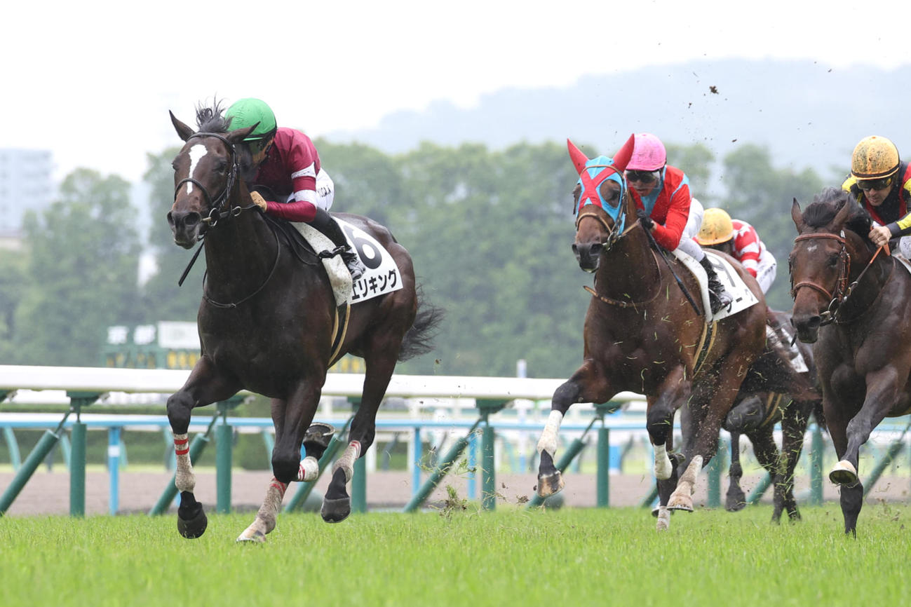 6月23日新馬戦を快勝したエリキング