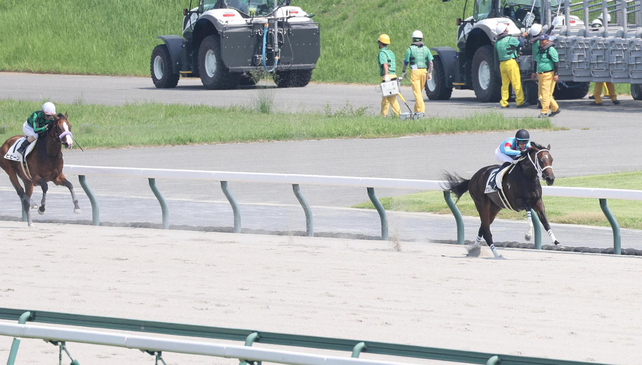 8日、中京6Rの3歳上1勝クラスを圧勝したダブルハートボンド（右）