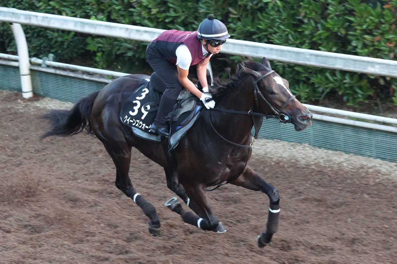 坂路を馬なりで駆け上がるクイーンズウォーク