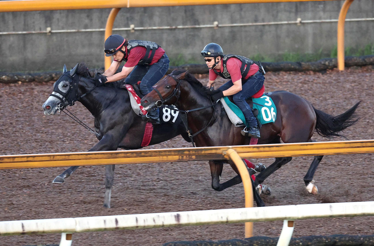 ハワイアンティアレ（左）はCウッドでセイフウサツキ（右）と併せ馬で追い切る（撮影・白石智彦）