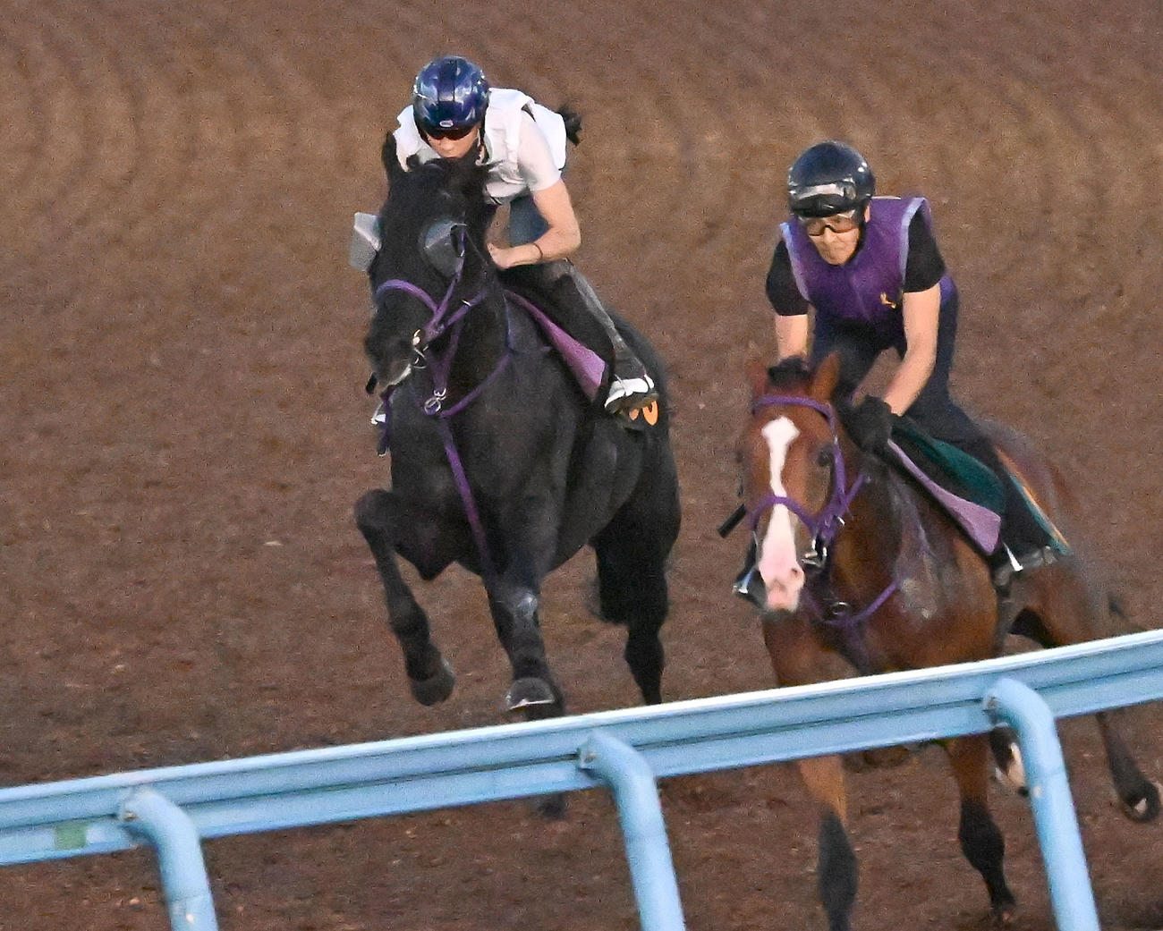 2頭併せて追い切るルカランフィースト（左）（撮影・千葉一成）