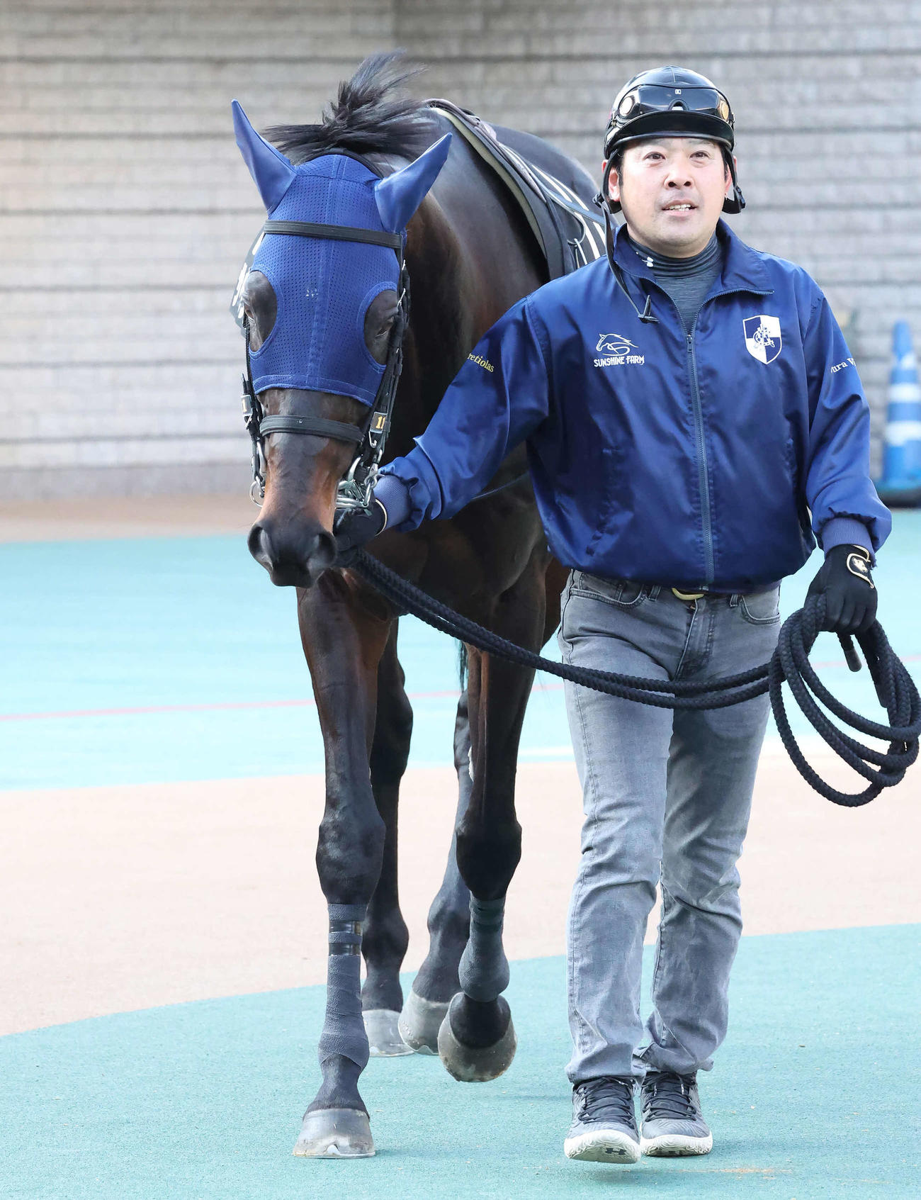 サペラヴィ（2023年2月4日撮影）