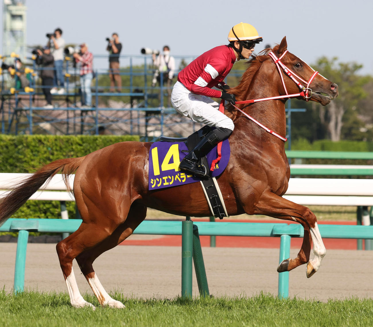 （撮影・柴田隆二）