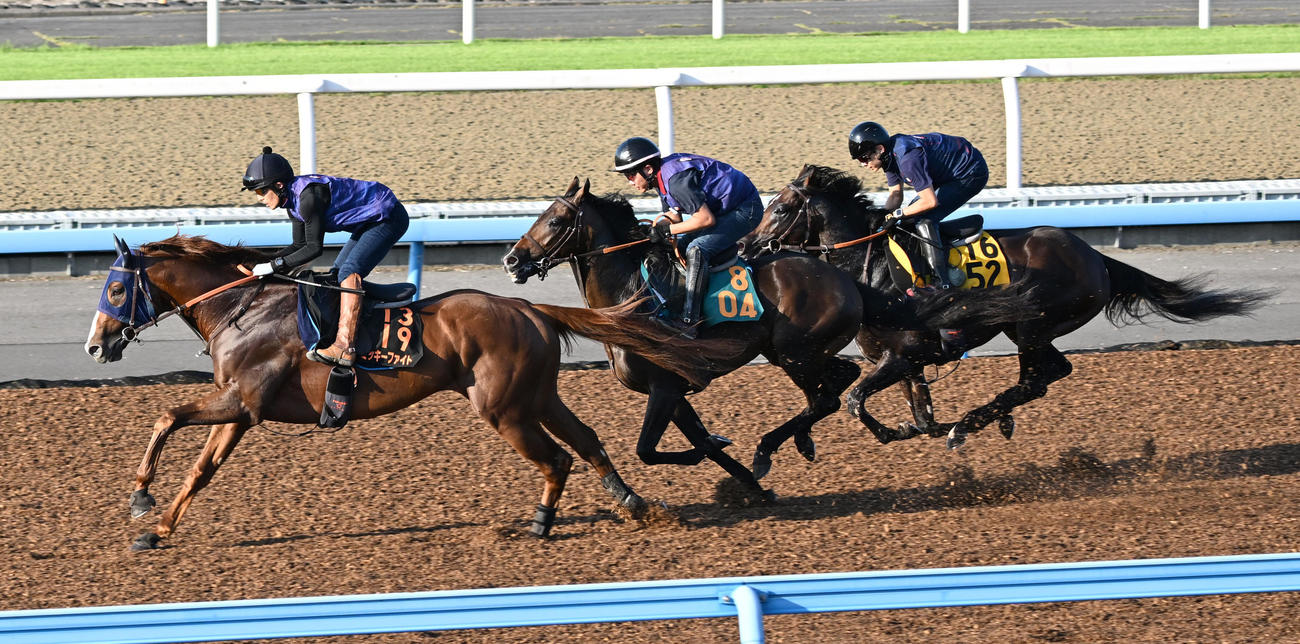 レーヴブリリアント（中央）は3頭併せで追い切られた（撮影・千葉一成）