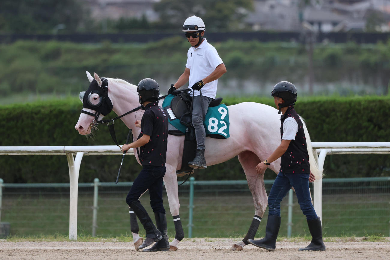 浜中俊騎手が騎乗し、追い切りを終えたゴージャス