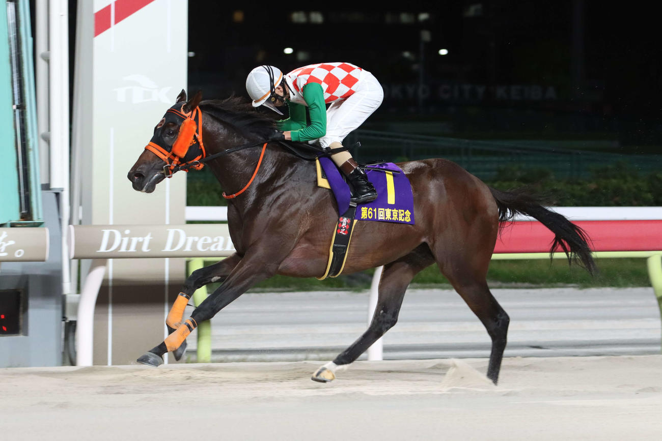 直線で抜け出し東京記念を制したナッジと矢野貴之騎手