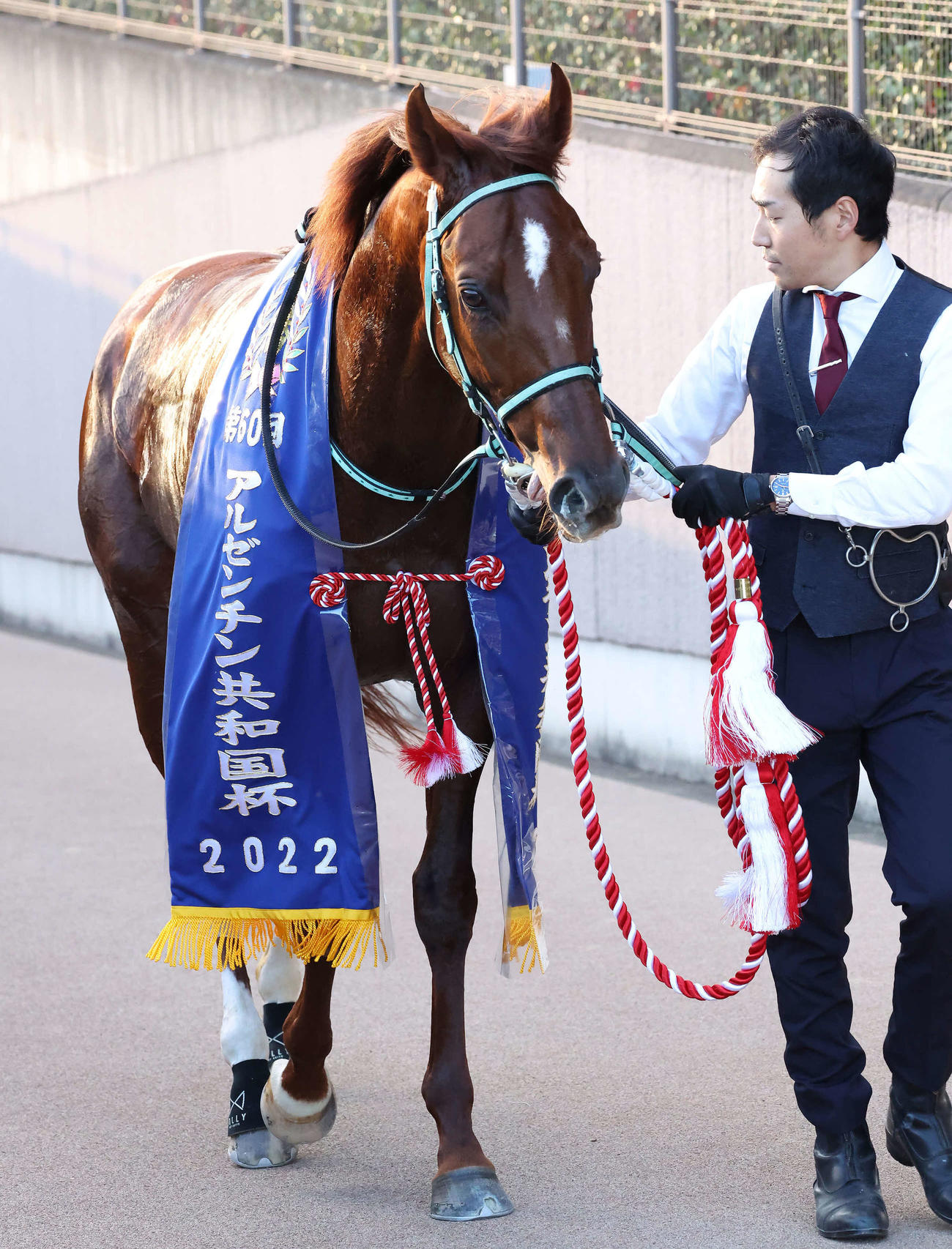 ブレークアップ（2022年11月撮影）