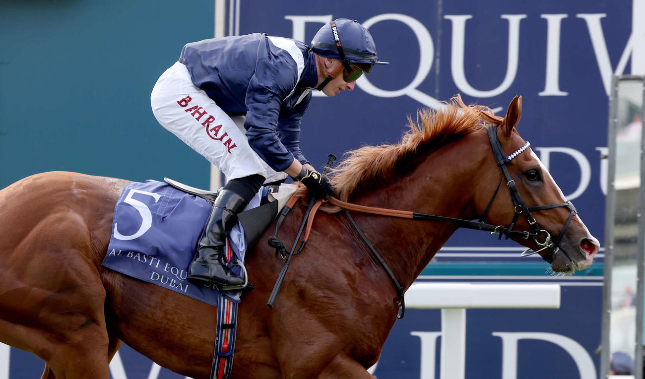愛チャンピオンSに出走するエコノミクス（C）Focus On Racing・JRA