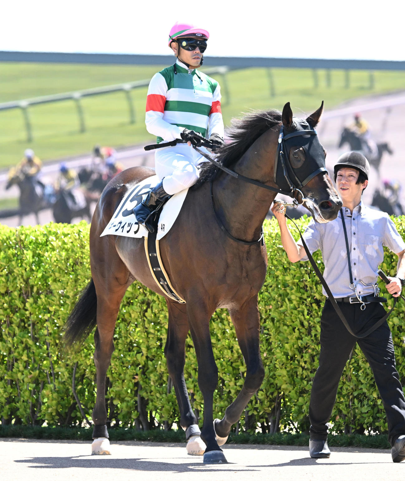 中山4Rをバギーウィップで制し、JRA年間100勝目を挙げた戸崎騎手（撮影・千葉一成）