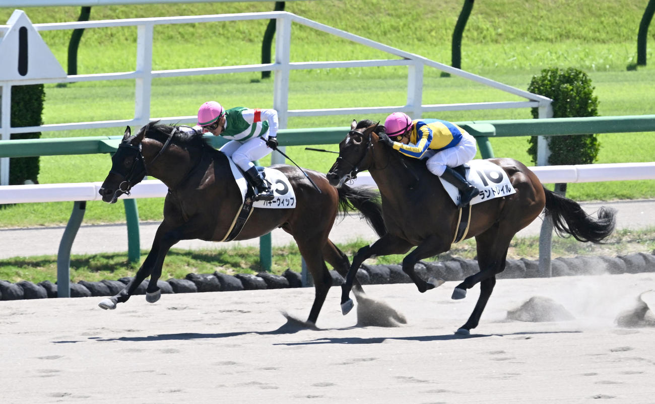 中山4R、新馬戦を制したバギーウィップと戸崎騎手。右は2着のラントレイル（撮影・千葉一成）