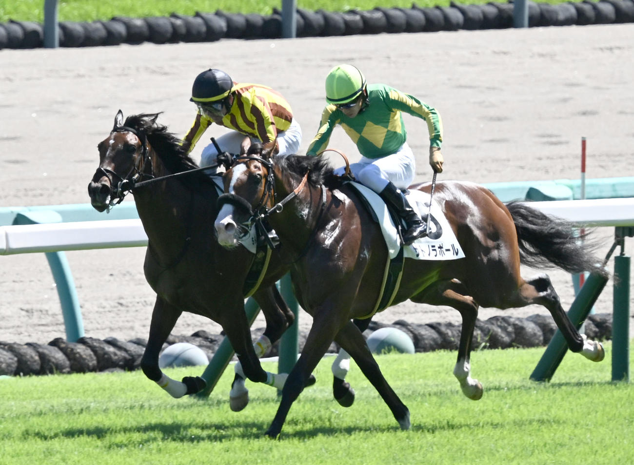中山5R、新馬戦を制したイブニングタイドと戸崎騎手（左）。右は2着のサトノラポール（撮影・千葉一成）