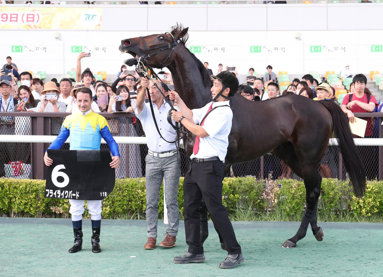 中京11R、ケフェウスSを制したフライライクバードと口取りに並ぶC・ルメール騎手（左）（撮影・白石智彦）