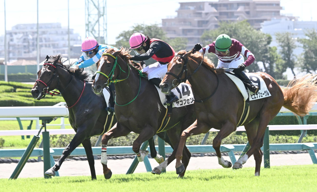 中山2R、2歳未勝利戦を制したヤコブセンと斎藤騎手（中央）（撮影・千葉一成）