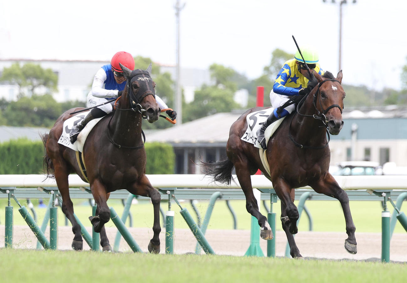 中京5R、キントラダンサー（左）との接戦を制し新馬戦を勝利したスリーキングス（撮影・白石智彦）