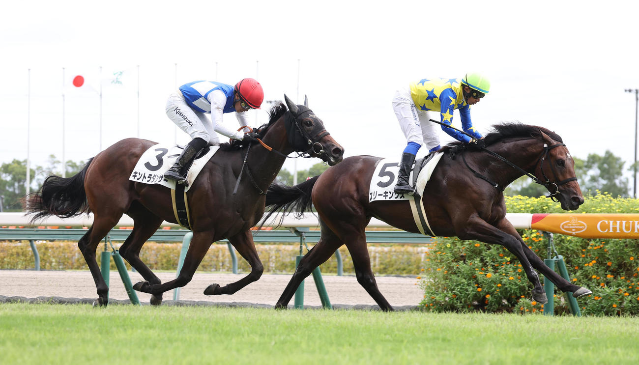 中京5R、キントラダンサー（左）との接戦を制し新馬戦を勝利したスリーキングス（撮影・白石智彦）