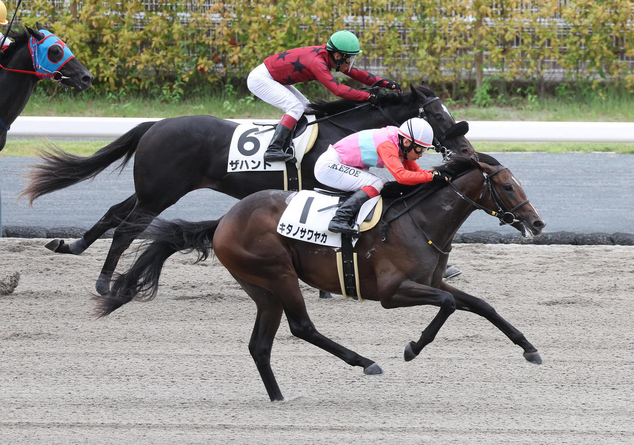 中京4R、直線外から伸びて新馬戦を制したキタノサワヤカ（手前）（撮影・白石智彦）