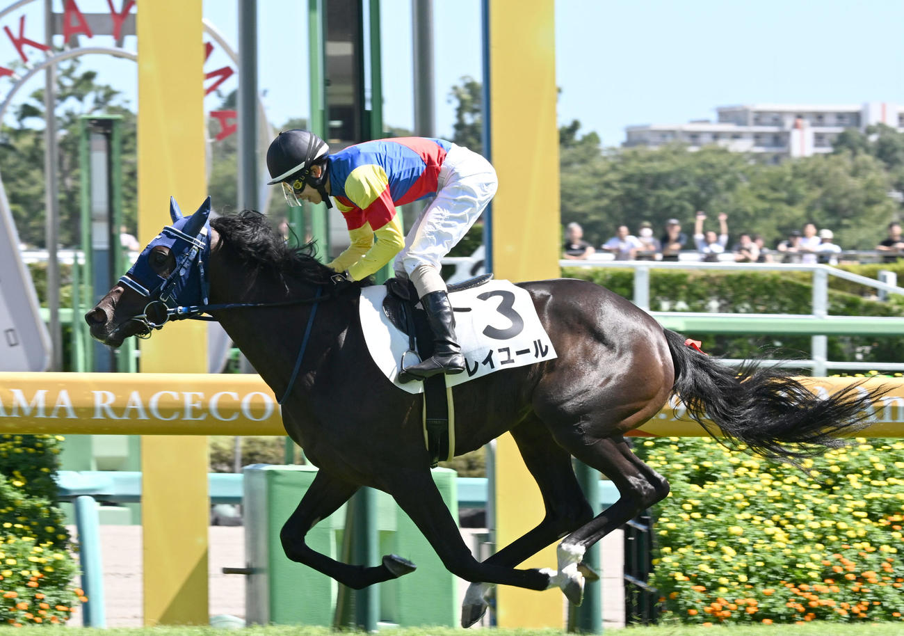 中山5R、牝馬限定の2歳新馬戦を制したレイユールと嶋田騎手（撮影・千葉一成）