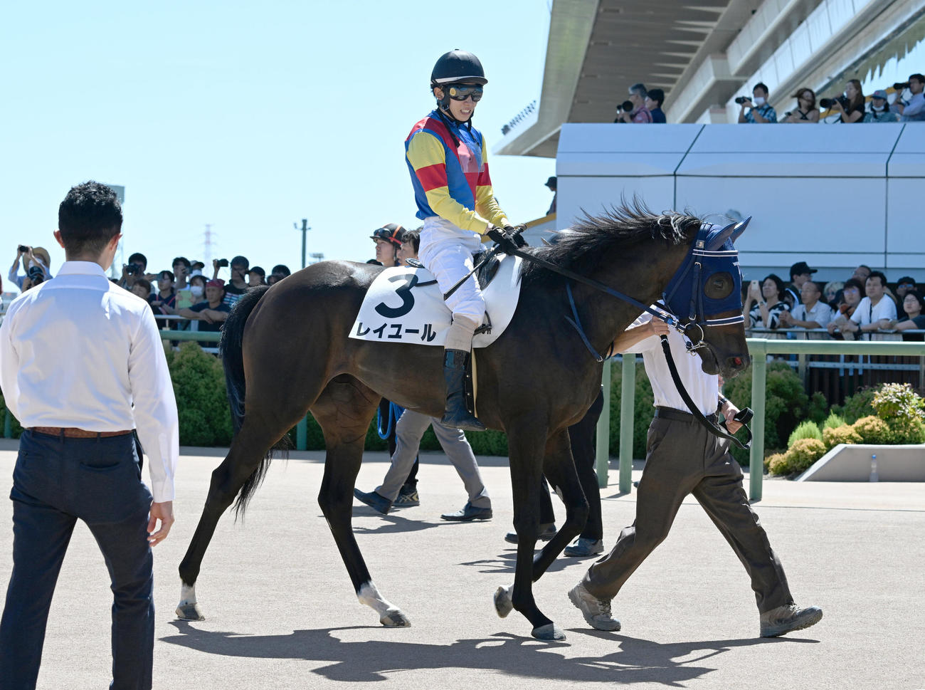 中山5R、牝馬限定の2歳新馬戦を制したレイユールと嶋田騎手（撮影・千葉一成）