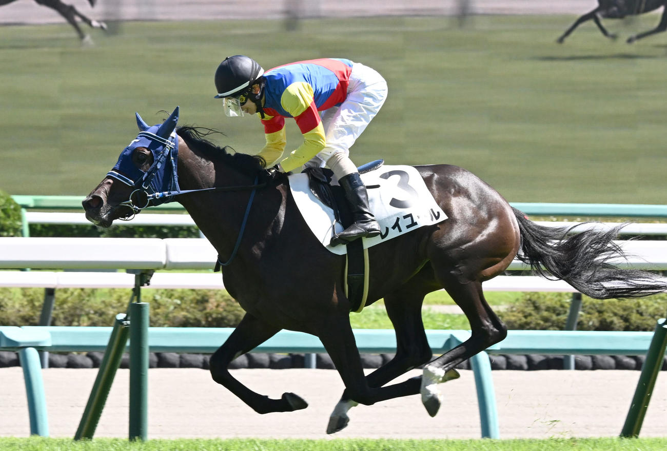 中山5R、牝馬限定の2歳新馬戦を制したレイユールと嶋田騎手（撮影・千葉一成）