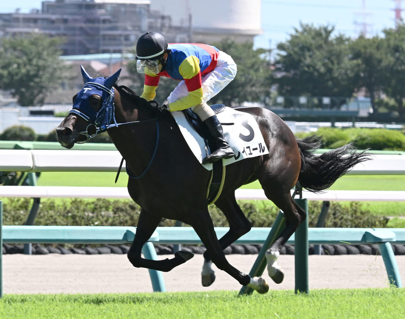 中山5R、牝馬限定の2歳新馬戦を制したレイユールと嶋田騎手（撮影・千葉一成）