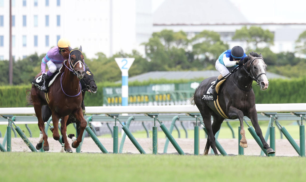中京9R、直線抜け出して茶臼山高原特別を制したアドマイヤテラ（右）（撮影・白石智彦）