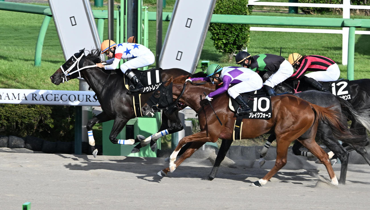 中山11R、ラジオ日本賞を制したアウトレンジと横山騎手（左端）（撮影・千葉一成）