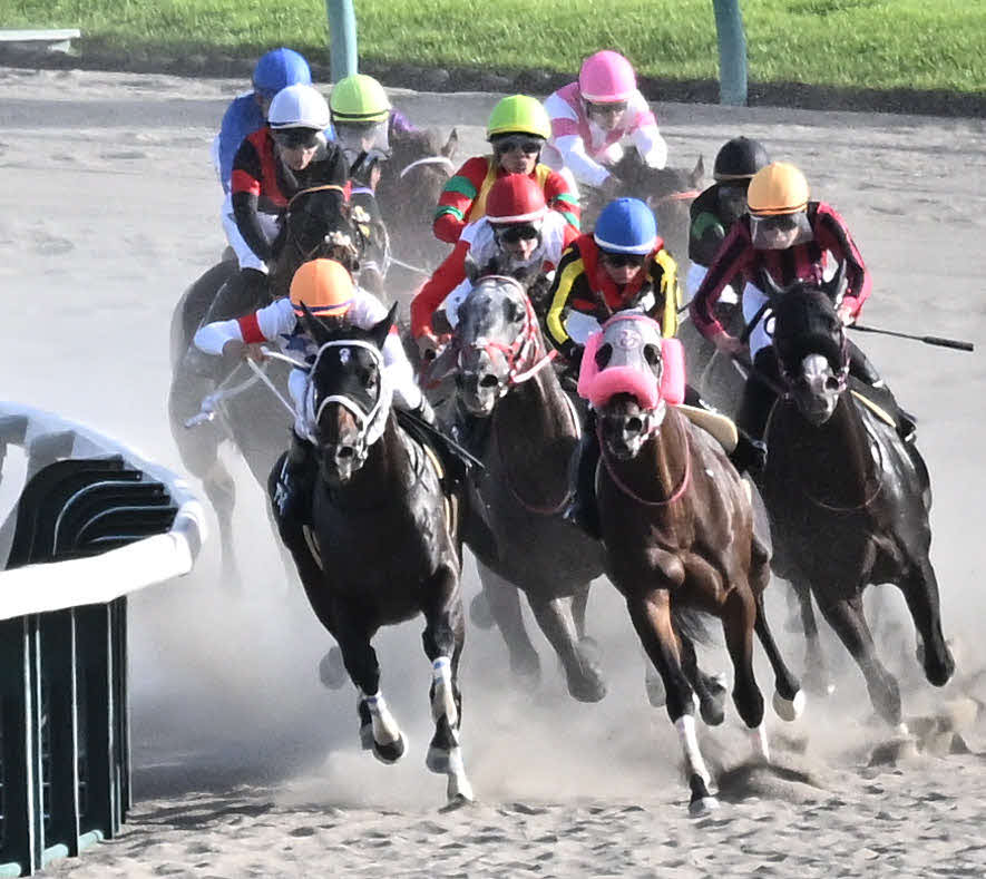 中山11R、ラジオ日本賞を制したアウトレンジと横山騎手（左手前）（撮影・千葉一成）