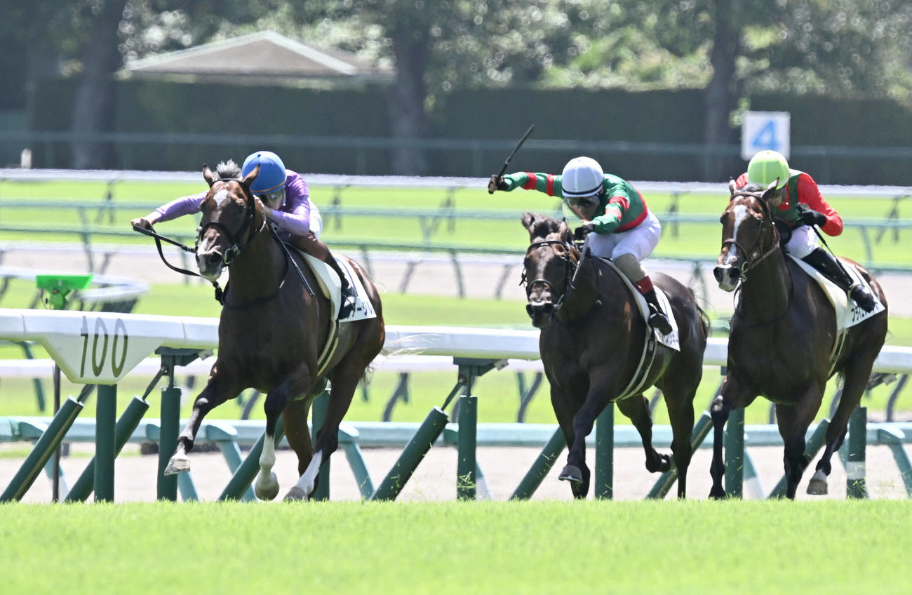 中山4R、2歳新馬戦を制したヴァージルと三浦騎手（左）。中央は2着のトシッキー（撮影・千葉一成）