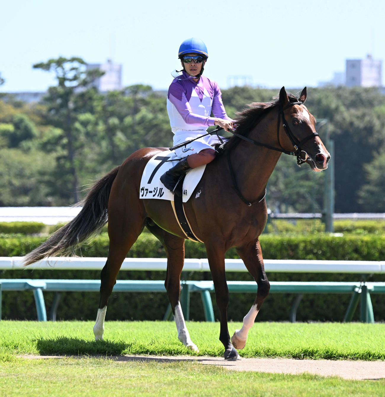 中山4R、2歳新馬戦を制したヴァージルと三浦騎手（撮影・千葉一成）