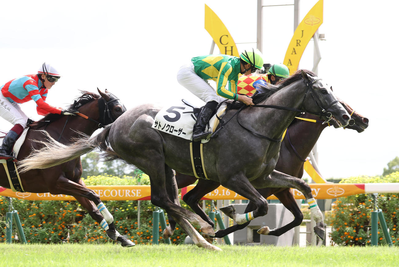 中京3R、2歳未勝利を勝ち上がったサトノクローザー（撮影・白石智彦）