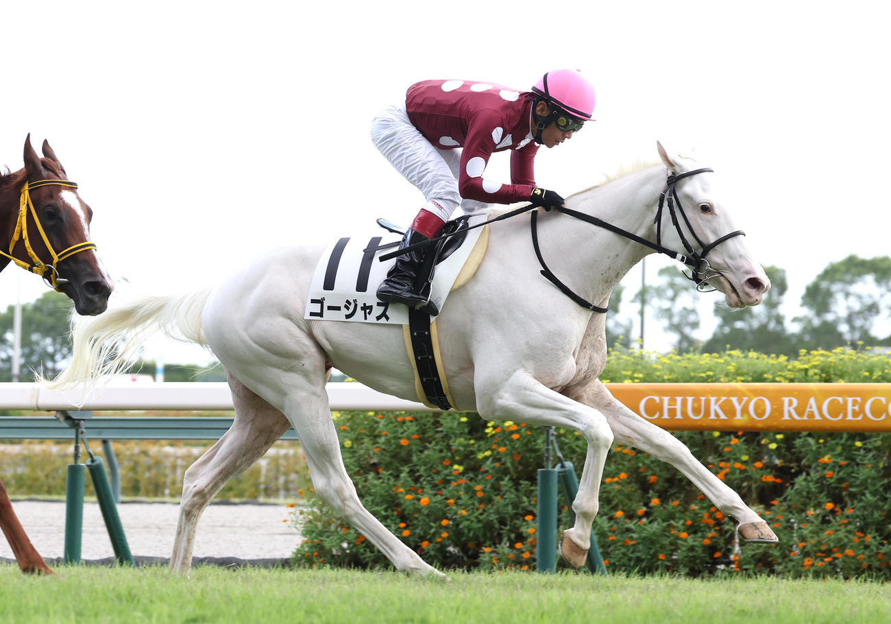 中京5R、直線力強く抜け出して新馬戦を制した白毛馬のゴージャス（撮影・白石智彦）