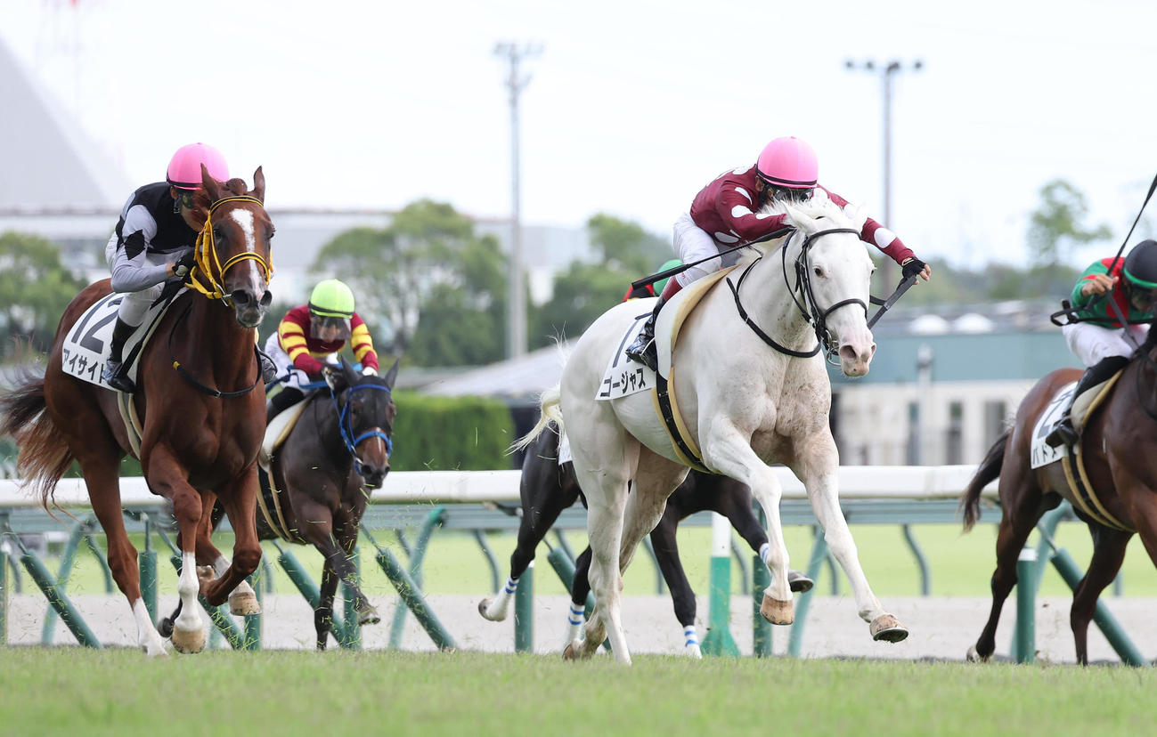中京5R、直線力強く抜け出して新馬戦を制した白毛馬のゴージャス（右）（撮影・白石智彦）