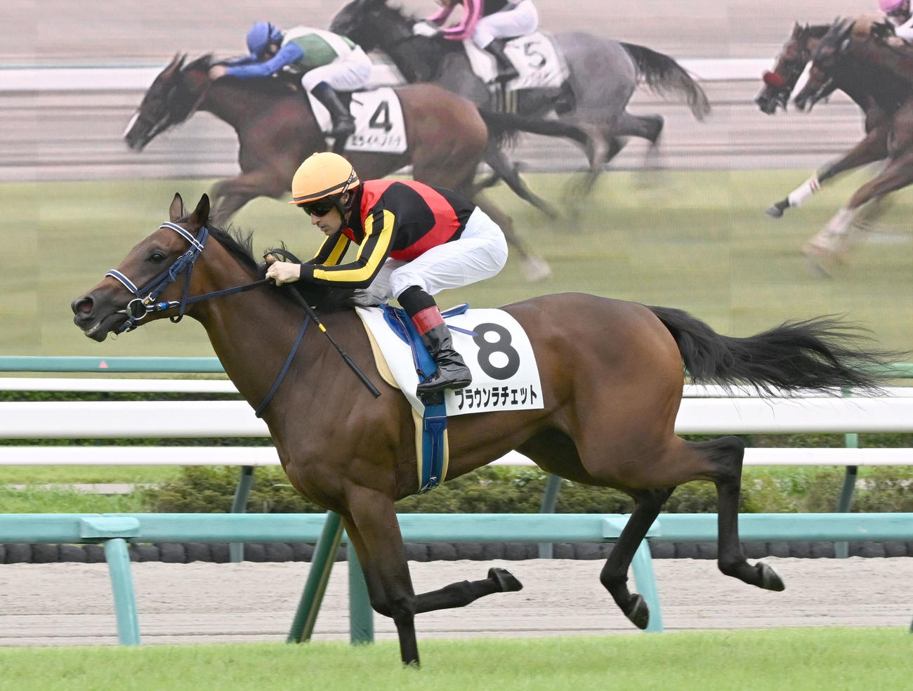 中山6R、2歳新馬戦を制したブラウンラチェットとルメール騎手（撮影・千葉一成）