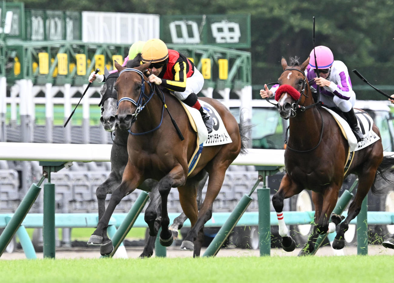 中山6R、2歳新馬戦を制したブラウンラチェットとルメール騎手（左手前）（撮影・千葉一成）