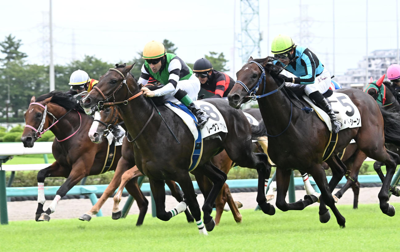 中山5R、2歳新馬戦を制したレーヴブリリアントとルメール騎手（中央）（撮影・千葉一成）