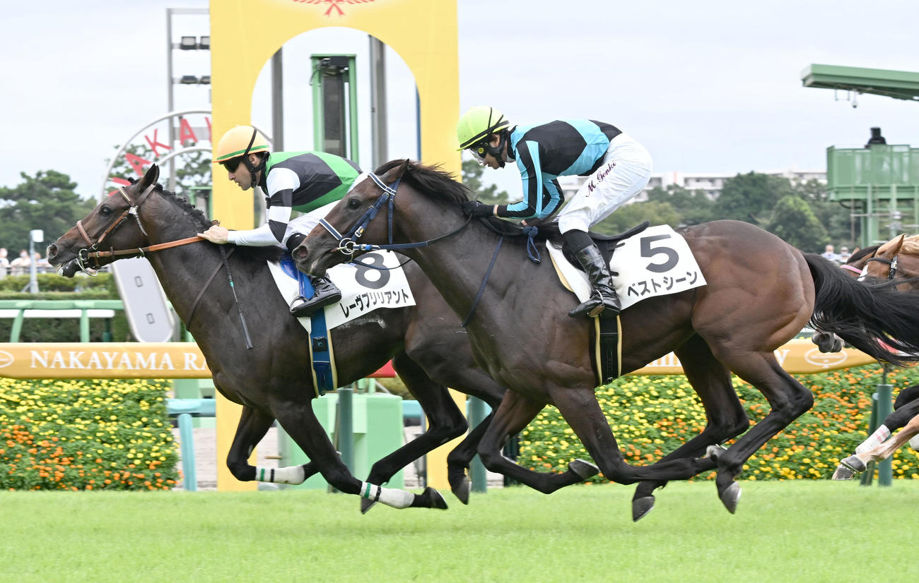 中山5R、2歳新馬戦を制したレーヴブリリアントとルメール騎手（左）（撮影・千葉一成）