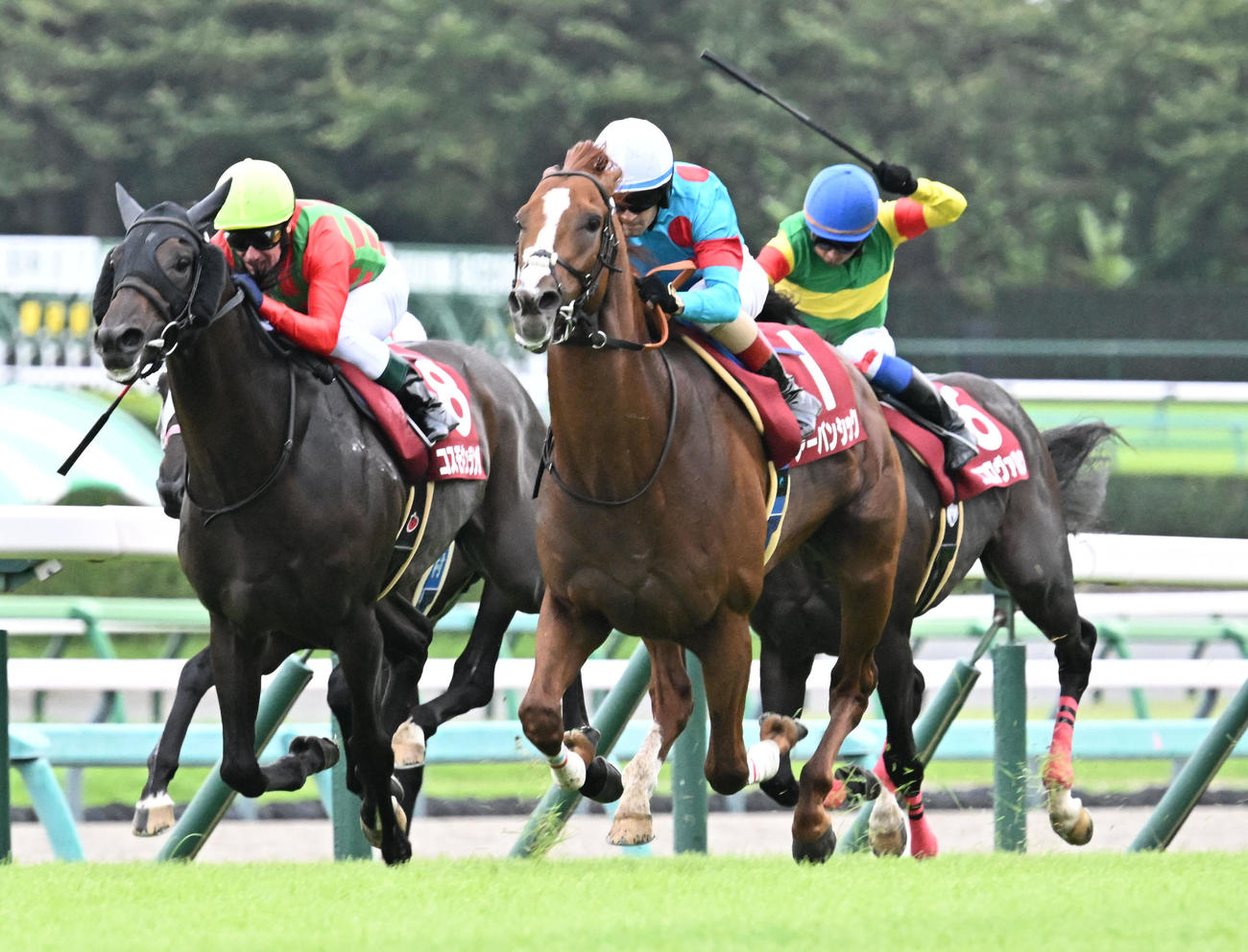 朝日杯セントライト記念を制したアーバンシックとルメール騎手（手前右）（撮影・千葉一成）