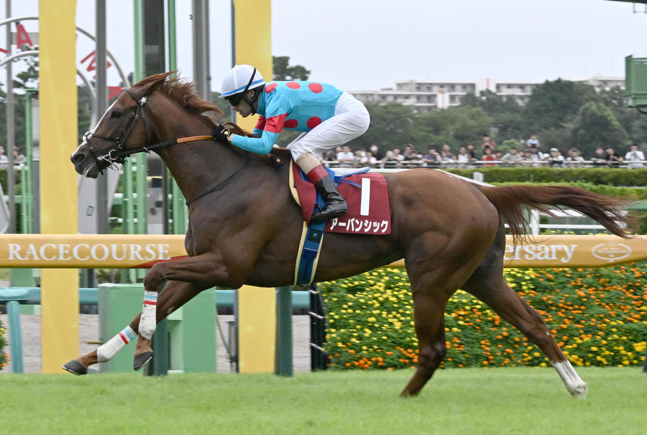 朝日杯セントライト記念を制したアーバンシックとルメール騎手（撮影・千葉一成）